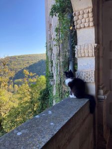 Titi 2 - la taverne du temps