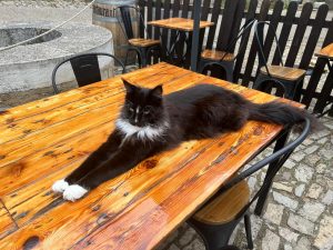 Titi 3 - la taverne du temps